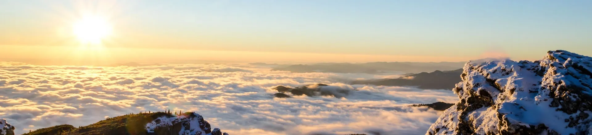 Ver: Duas pessoas ficam presas em um poste de luz alto enquanto voam de parapente em Kerala